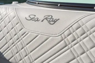 Thumbnail von Sea Ray SDX 250 Outboard