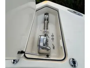 Thumbnail von Scout 350 LXF