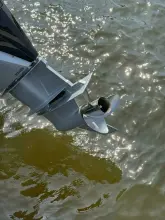 Thumbnail von Monterey M 65