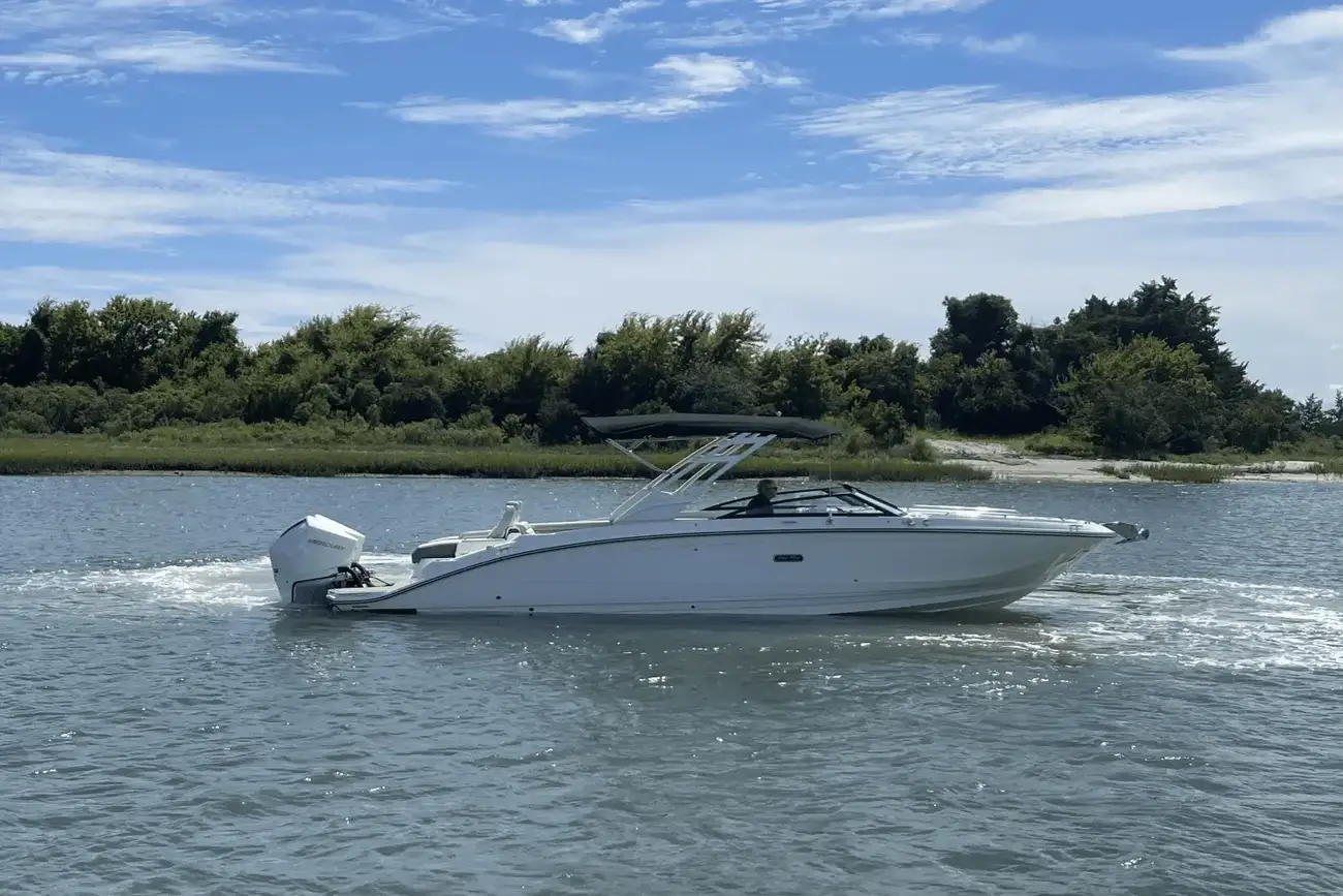 Sea Ray SDX 290 Außenborder