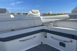 Thumbnail von Sea Ray SDX 290 Außenborder