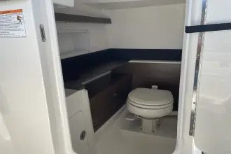 Thumbnail von Sea Ray SDX 290 Außenborder