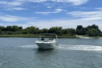 Thumbnail von Sea Ray SDX 290 Außenborder