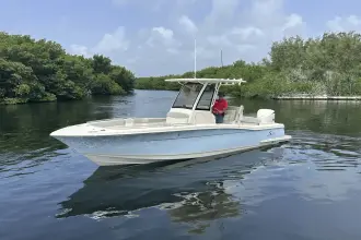 Thumbnail von Scout 240 XSF