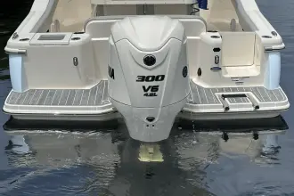 Thumbnail von Scout 240 XSF