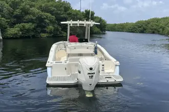 Thumbnail von Scout 240 XSF