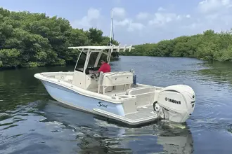 Thumbnail von Scout 240 XSF