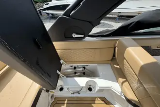 Thumbnail von Sea Ray SDX 250