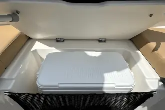 Thumbnail von Sea Ray SDX 250