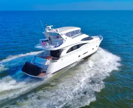 Thumbnail von Marquis 65