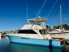 Thumbnail von Viking 55C A2Z's