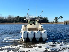 Thumbnail von Scout 420 LXF