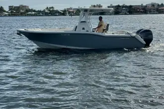 Thumbnail von Tidewater Boats 252 LXF