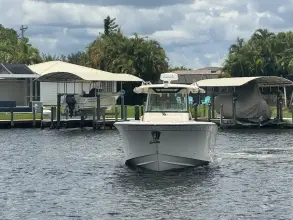 Thumbnail von Grady White Canyon 336