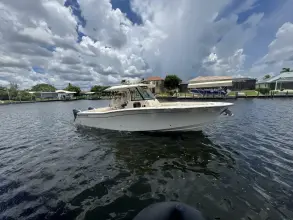 Thumbnail von Grady White Canyon 336