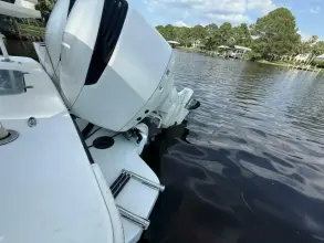 Thumbnail von Egret 290