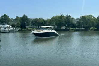 Thumbnail von Sea Ray 320 Sundancer Außenborder