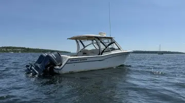 Thumbnail von Grady White Freedom 307 Aletha P LLC