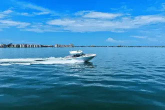 Thumbnail von Boston Whaler 320 Vantage