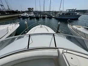 Thumbnail von Sea Ray 560 Sedan Bridge Bella Jolie