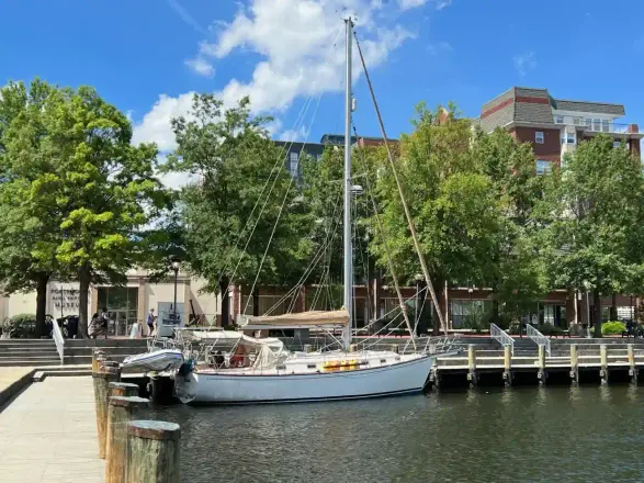 Island Packet 38 Moonsplash