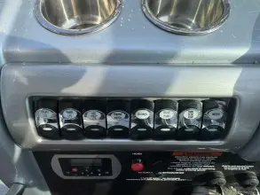 Thumbnail von Formula 310 Sun Sport Panacea