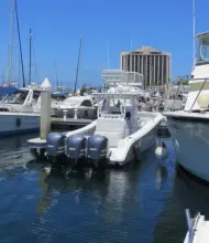 Thumbnail von Yellowfin 36