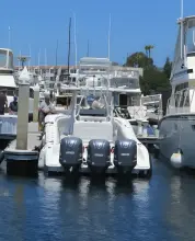 Thumbnail von Yellowfin 36