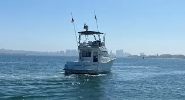 Thumbnail von Rodman 1250 FP