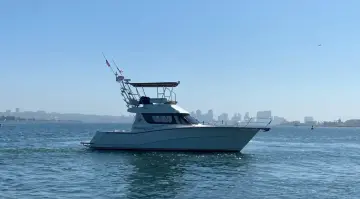 Thumbnail von Rodman 1250 FP