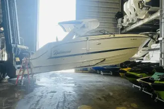 Thumbnail von Sea Ray SLX 310 Outboard