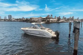 Thumbnail von Sea Ray SLX 310 Outboard