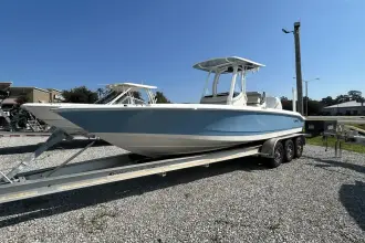 Thumbnail von Boston Whaler 250 Dauntless