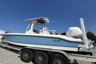 Thumbnail von Boston Whaler 250 Dauntless