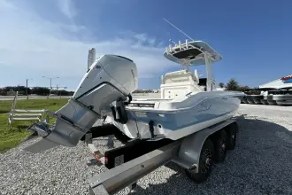 Thumbnail von Boston Whaler 250 Dauntless
