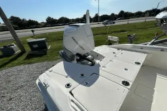 Thumbnail von Boston Whaler 250 Dauntless