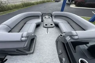 Thumbnail von Bennington Fishtoon 22S