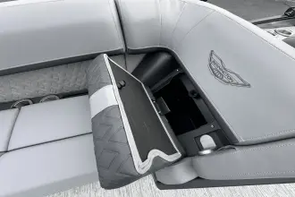 Thumbnail von Bennington Fishtoon 22S