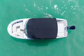 Thumbnail von Sea Ray SDX 250 fuera de borda