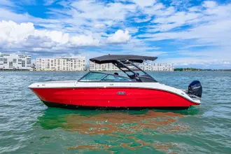 Thumbnail von Sea Ray SDX 250 fuera de borda