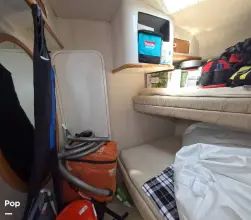 Thumbnail von Sea Ray 500 Sundancer