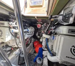 Thumbnail von Sea Ray 500 Sundancer