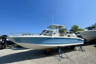 Thumbnail von Boston Whaler 250 Dauntless