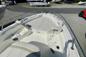 Thumbnail von Boston Whaler 250 Dauntless