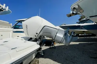 Thumbnail von Boston Whaler 250 Dauntless