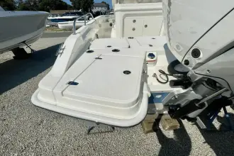 Thumbnail von Boston Whaler 250 Dauntless