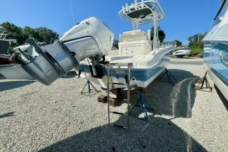 Thumbnail von Boston Whaler 250 Dauntless