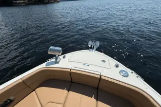 Thumbnail von Sea Ray SLX 310