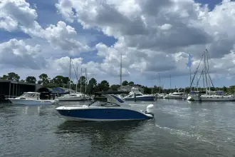 Thumbnail von Sea Ray SDX 230 Hors-Bord