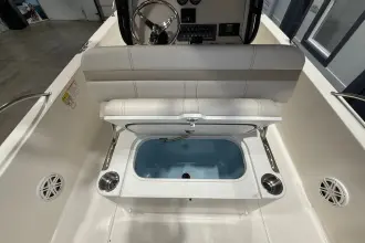 Thumbnail von Boston Whaler 250 Dauntless